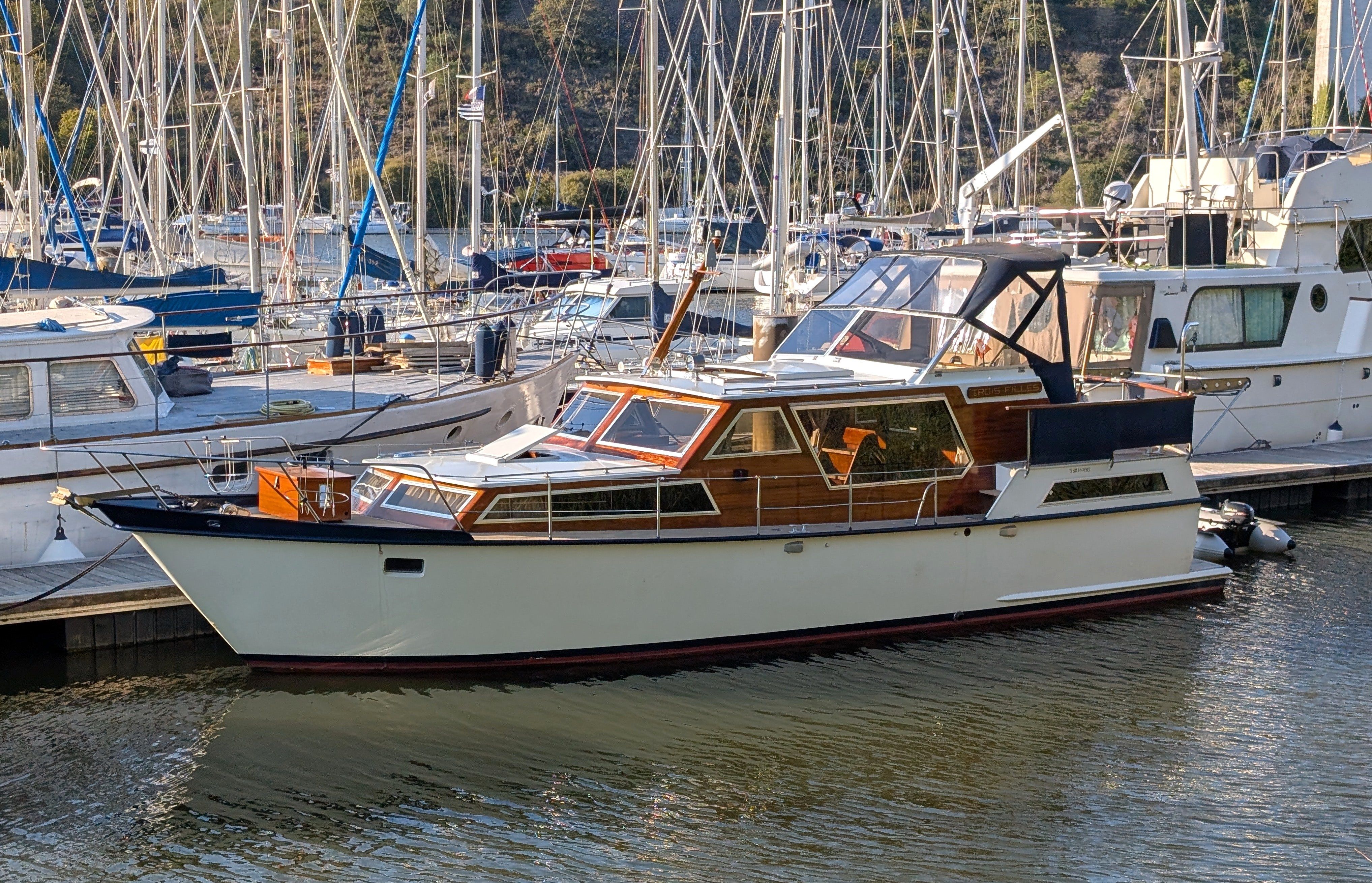 1979 Lowland Fantasia DS