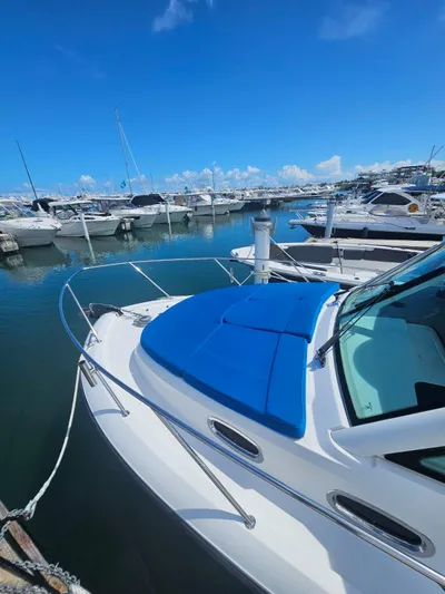 Yacht Photos Pics 2013 Boston Whaler 315 Conquest docked in a marina under a clear blue sky.