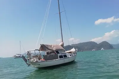 Clansman 30