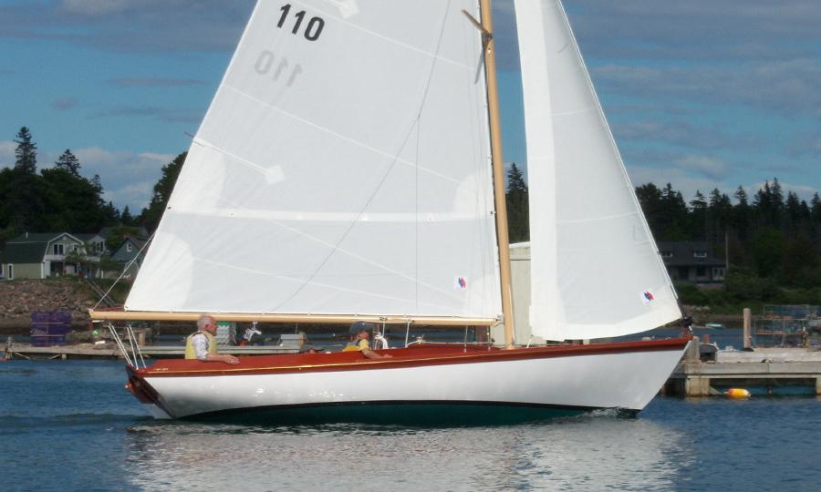 pisces 21 sailboat for sale