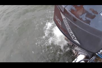 Video Placeholder