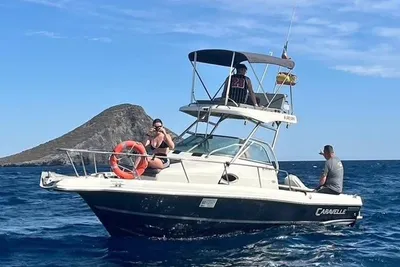 2005 Caravelle Sea Hawk 230 Walk Around