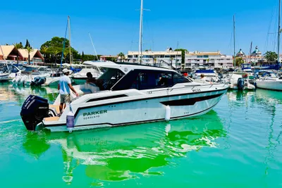 2024 Parker Poland Sorrento 100