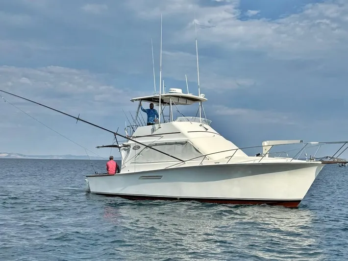  Yacht Photos Pics 1988 Ocean Yachts 38 Super Sport fishing boat on open water.