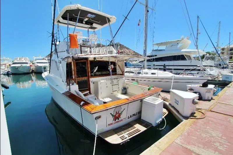  Yacht Photos Pics 1988 Ocean Yachts 38 Super Sport docked at marina under clear blue sky.