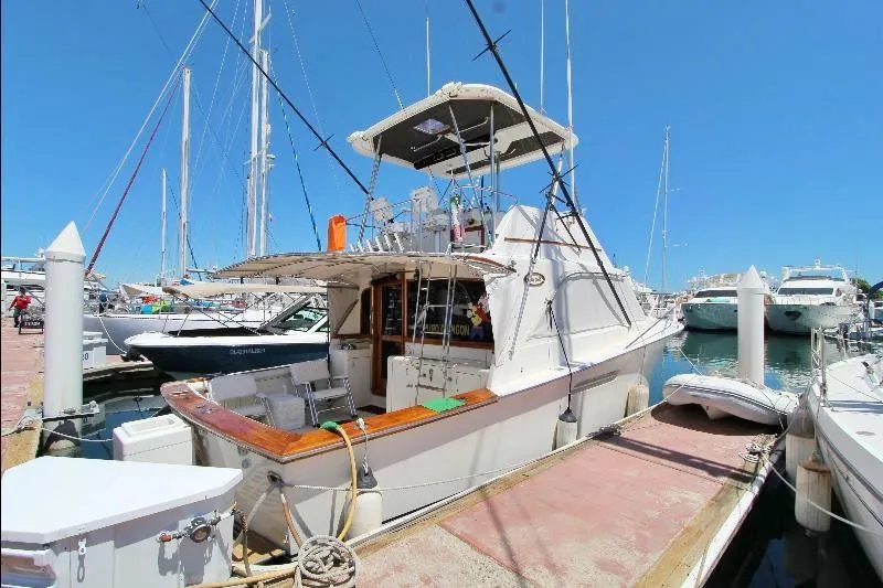  Yacht Photos Pics 1988 Ocean Yachts 38 Super Sport docked at marina under clear blue sky.