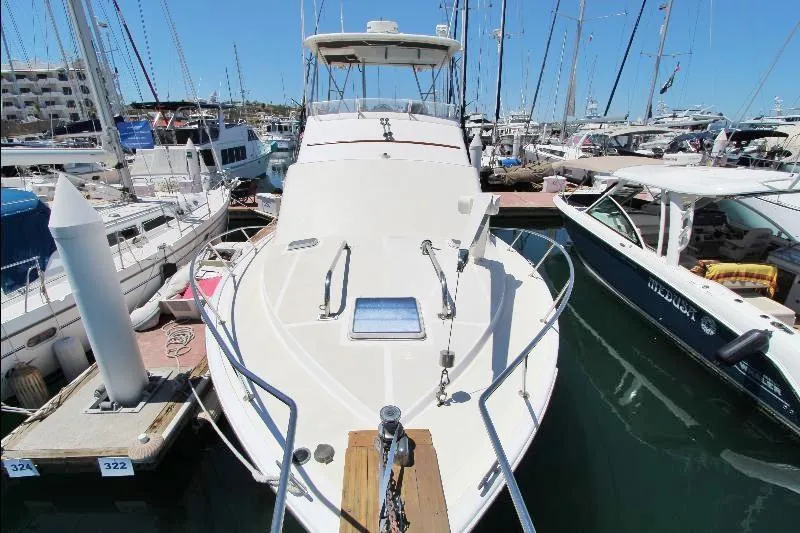  Yacht Photos Pics 1988 Ocean Yachts 38 Super Sport docked at marina, surrounded by other boats.