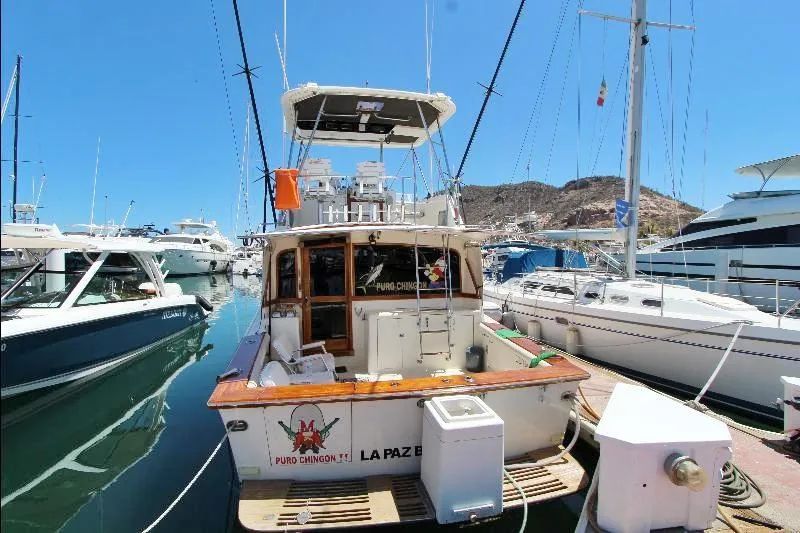  Yacht Photos Pics 1988 Ocean Yachts 38 Super Sport docked at marina, clear blue sky, surrounded by other boats.