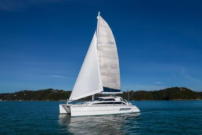 Perry 43