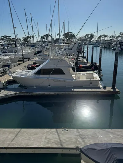 Off The Hook Yacht Photos Pics 