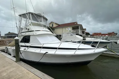 Bertram 35 sport fisherman