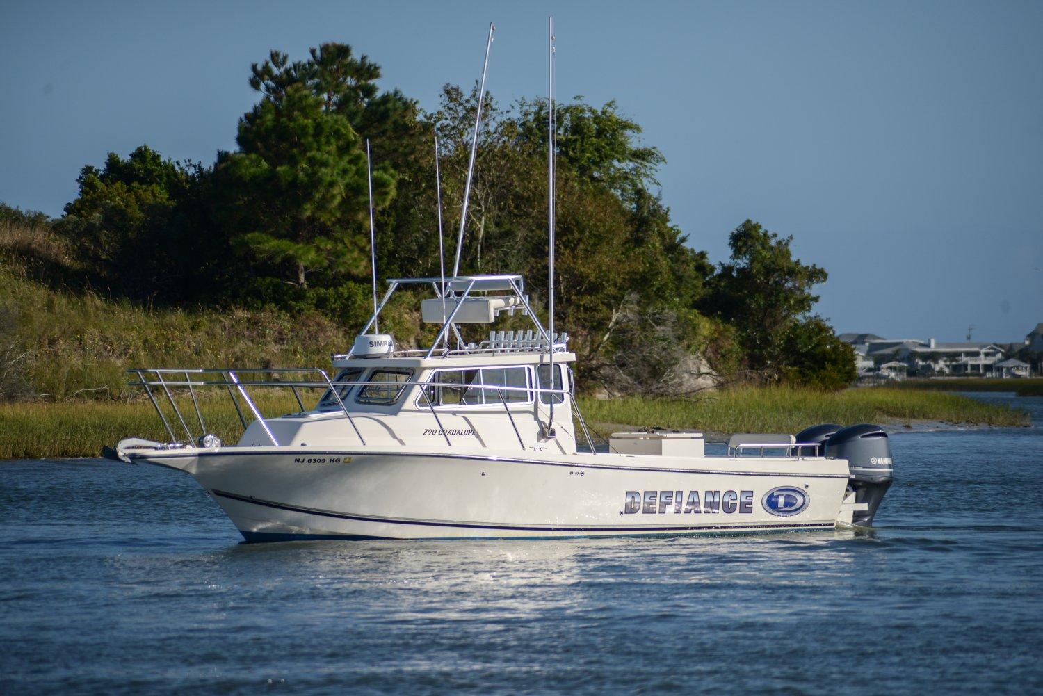 Defiance Guadalupe 290 EX