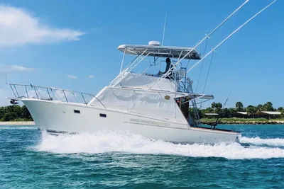 Jersey Dawn 40