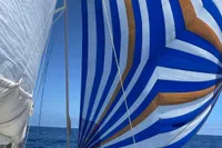 Catamaran NIMBLE 50 sailing with vibrant blue and white sails, 2001 model.