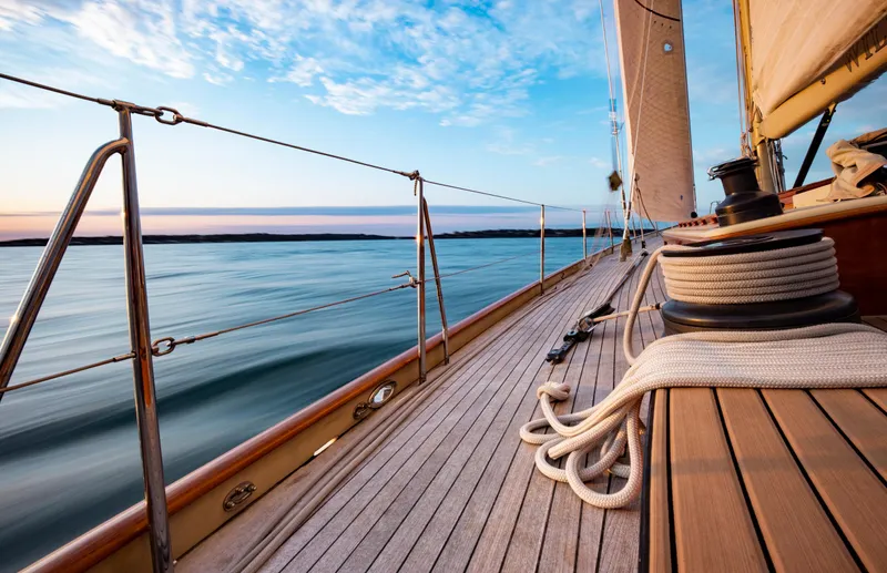 Wild Horses Yacht Photos Pics 