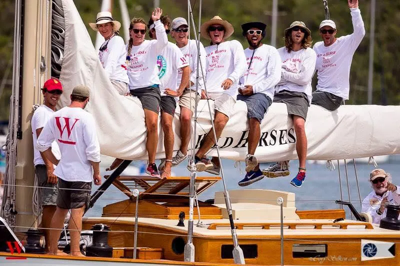 Wild Horses Yacht Photos Pics 