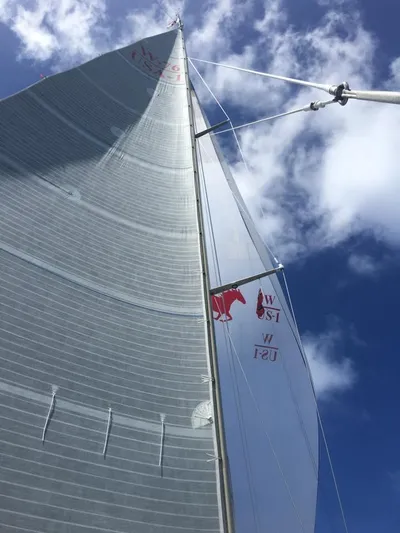 Wild Horses Yacht Photos Pics 