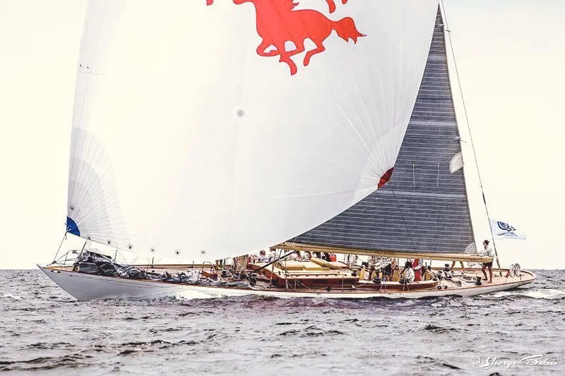 Wild Horses Yacht Photos Pics 