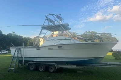 1980 Topaz Express