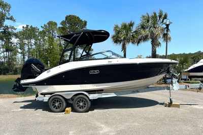 Sea Ray SPX 190 Outboard