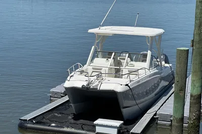 World Cat 255 DC