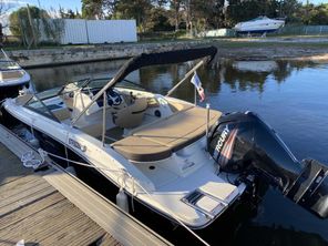 2019 Sea Ray SPX 190 HORS BORD