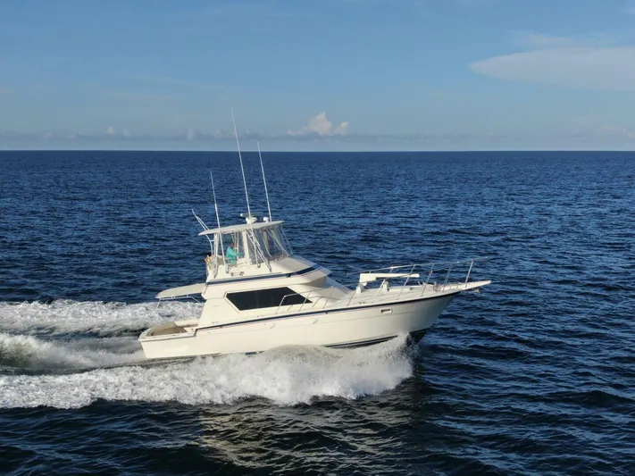 Hatta Dream Yacht Photos Pics 