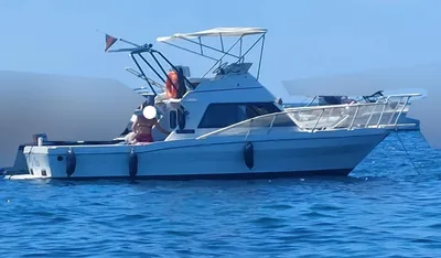 Marine saltwater fishing boats for sale - TopBoats