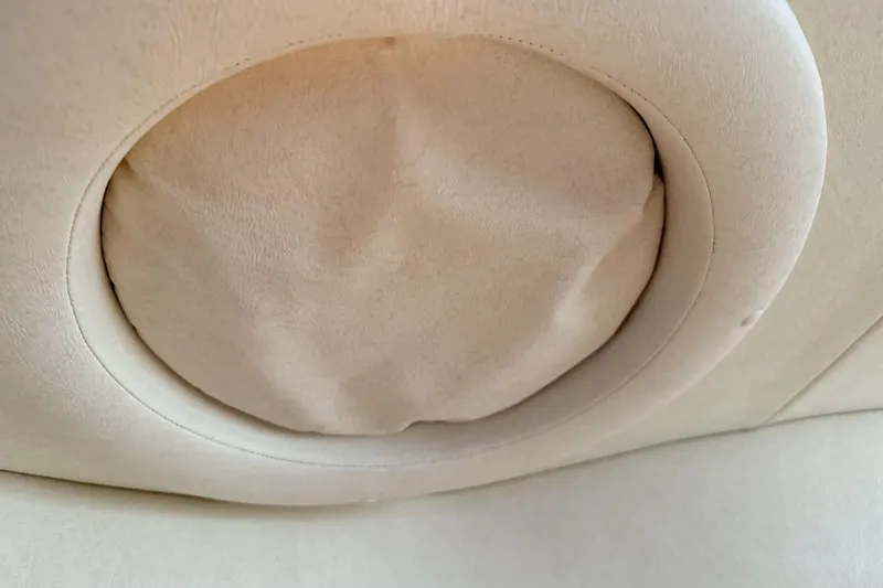  Yacht Photos Pics Ceiling speaker on 2006 Sea Ray 340 Sundancer boat interior.