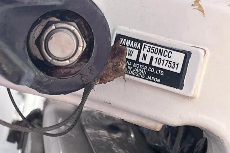  Yacht Photos Pics Close-up of Yamaha F350NCC engine label on 2019 Regal 33 SAV boat.