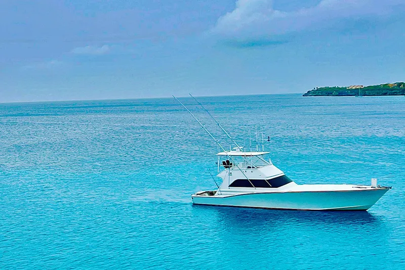 Euphoria Yacht Photos Pics Custom Carolina Precision Sportfish 2000 on tranquil blue ocean near a distant island.
