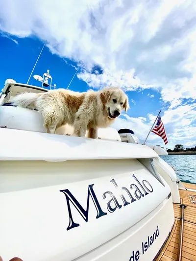 Mahalo Yacht Photos Pics Golden retriever on 2007 Fairline Targa 52 yacht named "Mahalo" with American flag.
