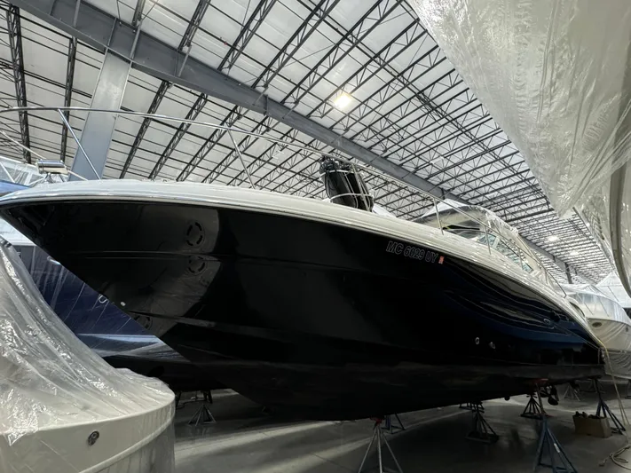 Seeds The Day Yacht Photos Pics 