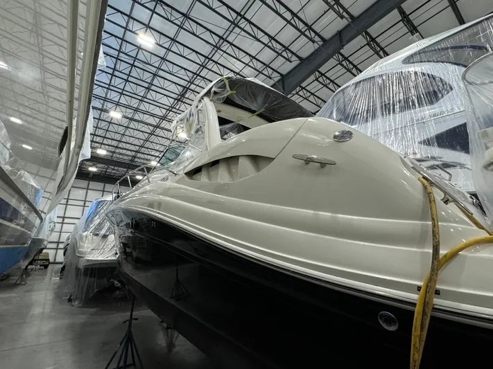 Seeds The Day Yacht Photos Pics 