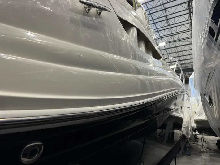 Seeds The Day Yacht Photos Pics 