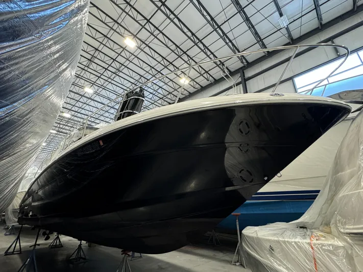 Seeds The Day Yacht Photos Pics 