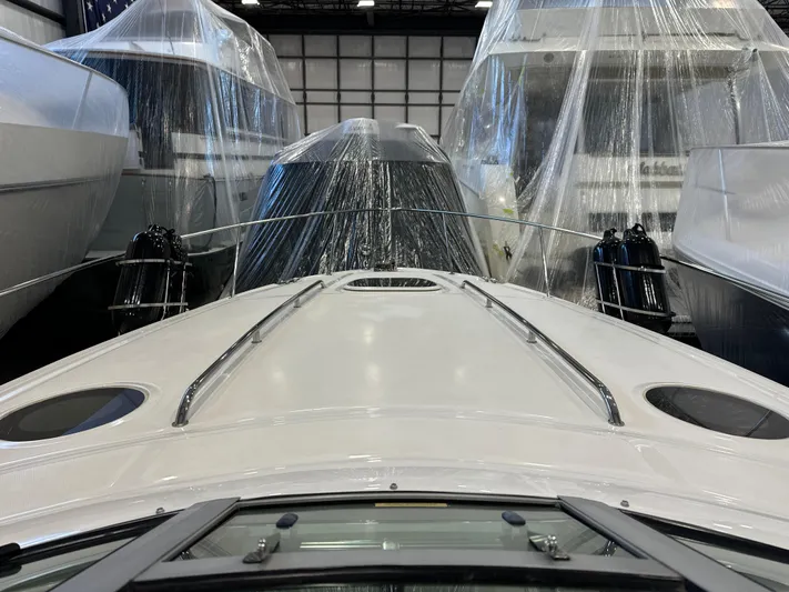 Seeds The Day Yacht Photos Pics 