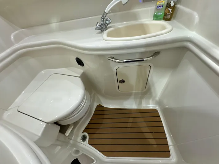 Seeds The Day Yacht Photos Pics 