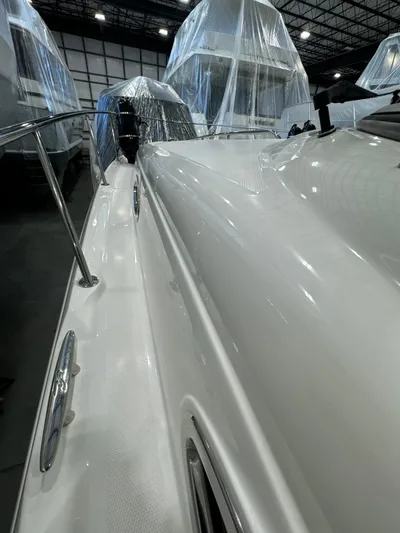 Seeds The Day Yacht Photos Pics 