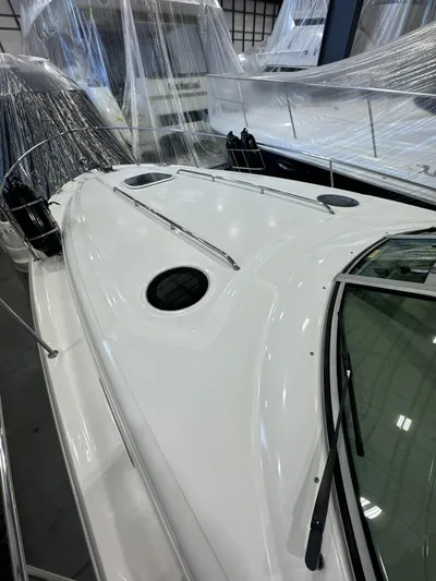 Seeds The Day Yacht Photos Pics 