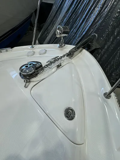 Seeds The Day Yacht Photos Pics 