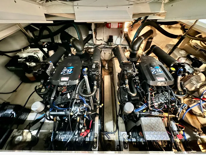 Seeds The Day Yacht Photos Pics 