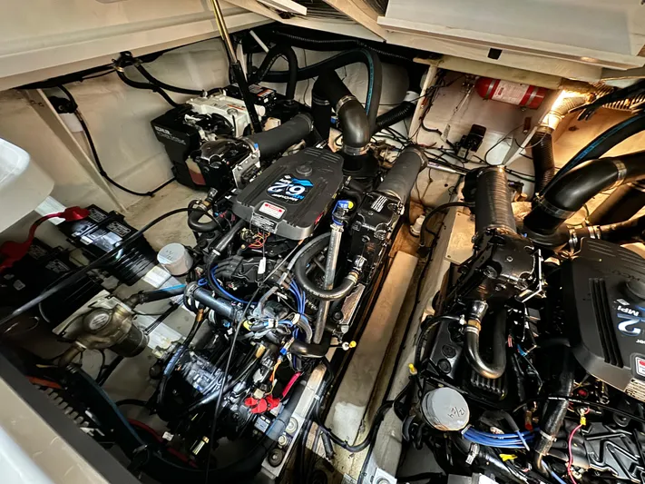 Seeds The Day Yacht Photos Pics 