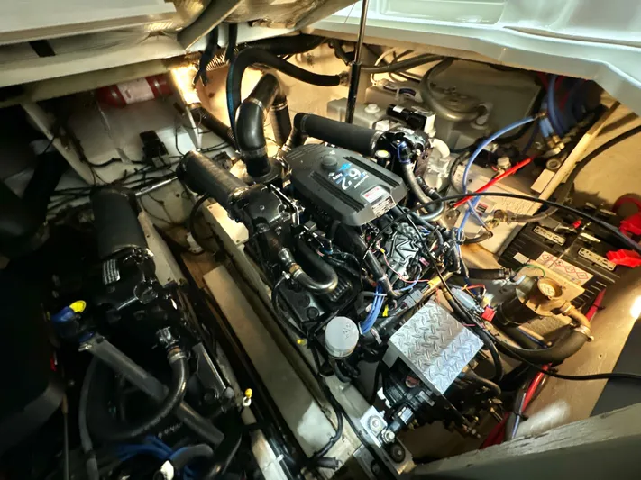 Seeds The Day Yacht Photos Pics 