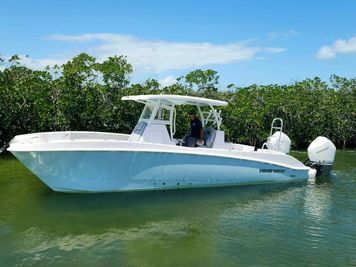 Twin Vee 280 gfx