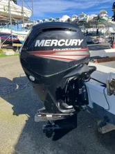 2019 Mercury 100 CV ELPT
