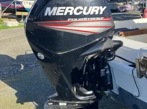 2019 Mercury 100 CV ELPT