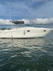 2005 Sea Ray 290 Amberjack