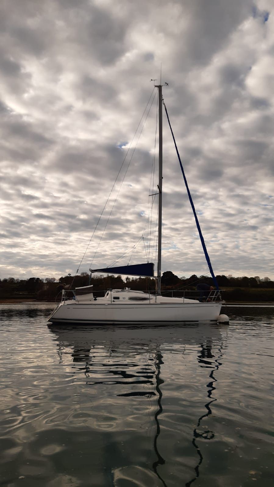 2002 Feeling Feeling 30 DI