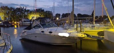 Sea Ray 270 Amberjack
